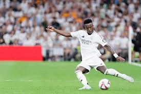 调了保护自 调了保护自